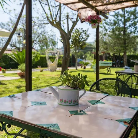 Brunella 4*