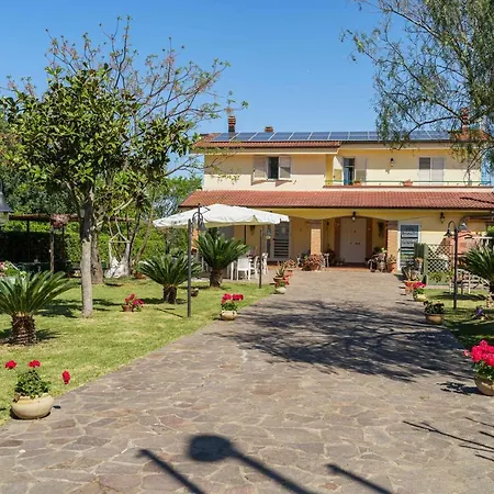 Brunella 4*