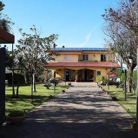 Brunella 4*