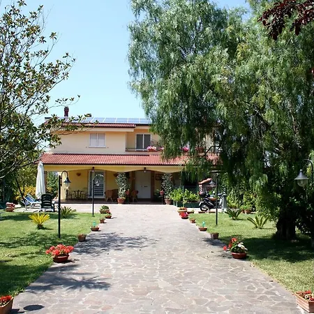 Brunella 4*