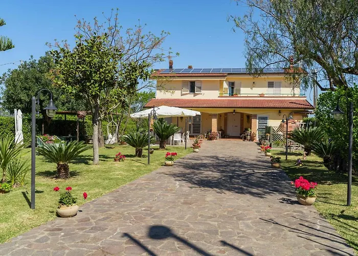 Brunella 4*