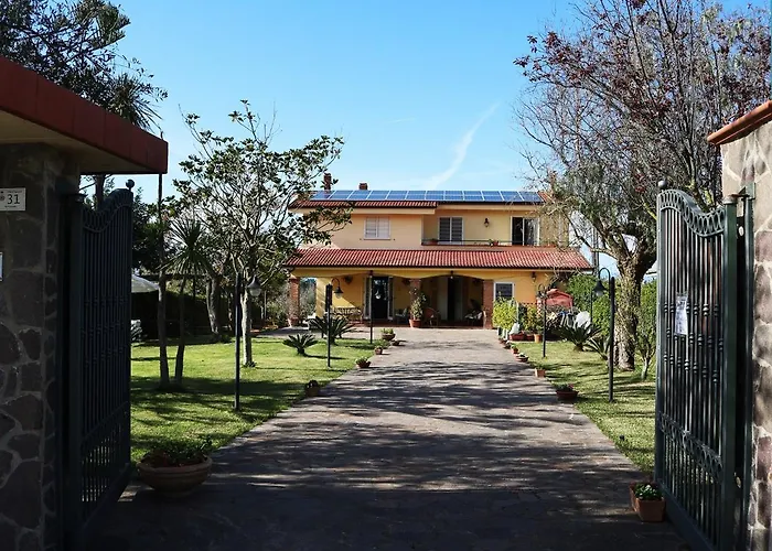 Brunella 4*